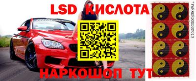 СК Краснокаменск
